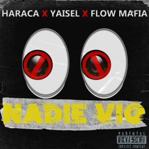 Haraca Kiko Ft. Flow Mafia, La Melma Music Y Yaisel LM – Nadie Vio